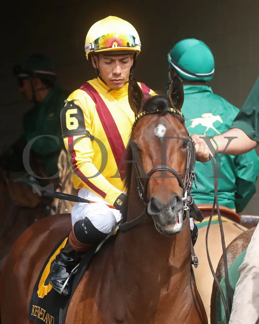 Fandom - The Palisades 04 - 07 - 24 R07 Kee Paddock 01 Keeneland
