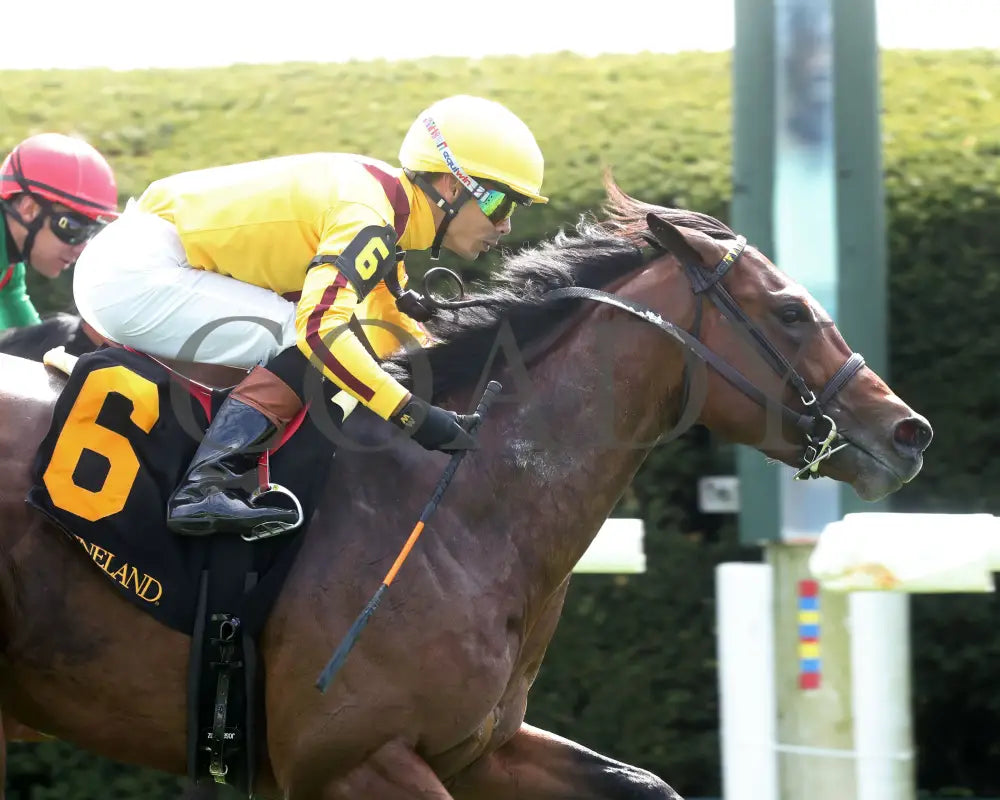 Fandom - The Palisades 04 - 07 - 24 R07 Kee Tight Finish 01 Keeneland
