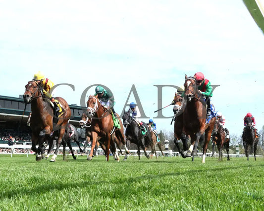 Fandom - The Palisades 04 - 07 - 24 R07 Kee Under Rail 01 Keeneland