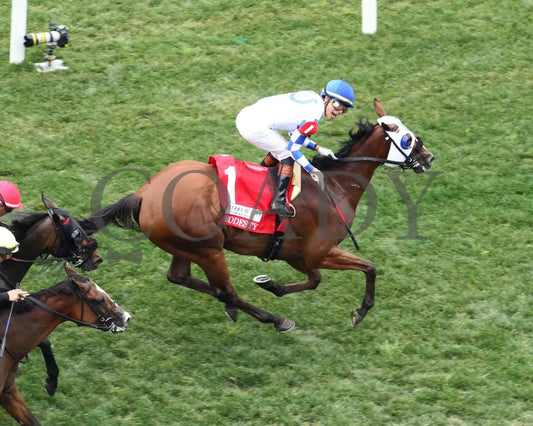 Fast As Flight - The Modesty G3 05-03-24 R08 Cd Aerial Celebration 01 Churchill Downs
