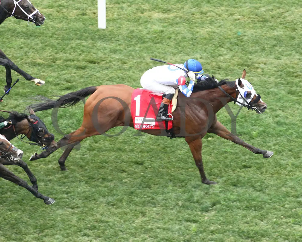 Fast As Flight - The Modesty G3 05-03-24 R08 Cd Aerial Finish 01 Churchill Downs