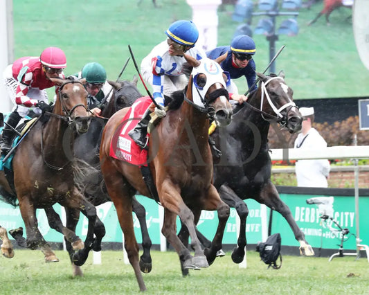 Fast As Flight - The Modesty G3 05-03-24 R08 Churchill Downs Celebration 01 Ashley Phillips