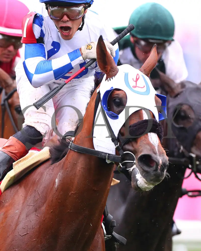 Fast As Flight - The Modesty G3 05-03-24 R08 Churchill Downs Head On 04 Lauren Givhan