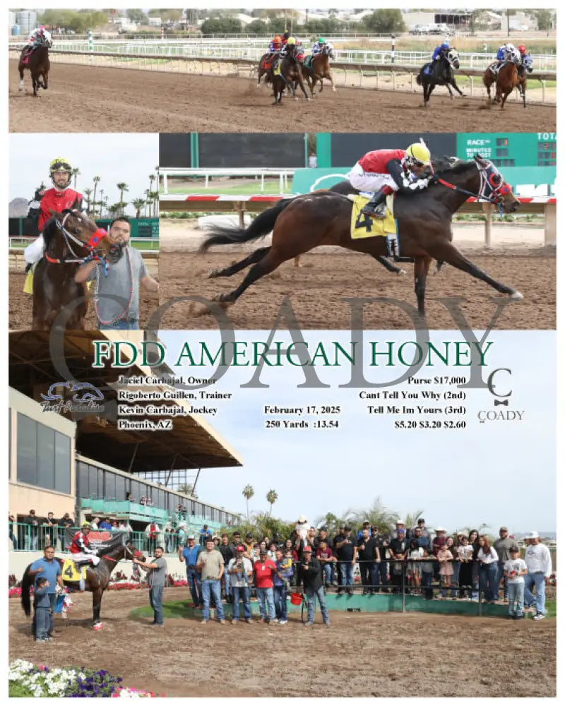 FDD AMERICAN HONEY - 02-17-25 - R01 - TUP Turf Paradise