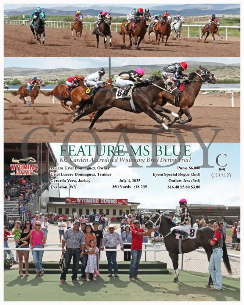 FEATURE MS BLUE - KC Carden Accredited Wyoming Bred Derby Trial - 07-04-25 - R04 - WYO Wyoming Downs