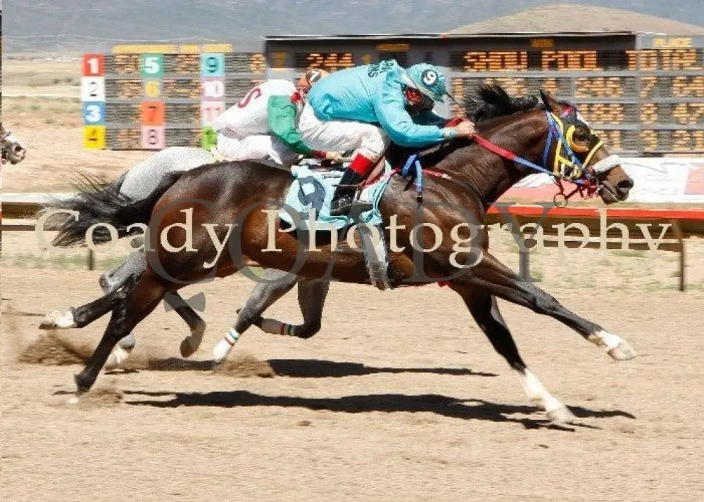 Featured Tip - Prescott Valley Laddie/Lassie Fut Yavapai Downs