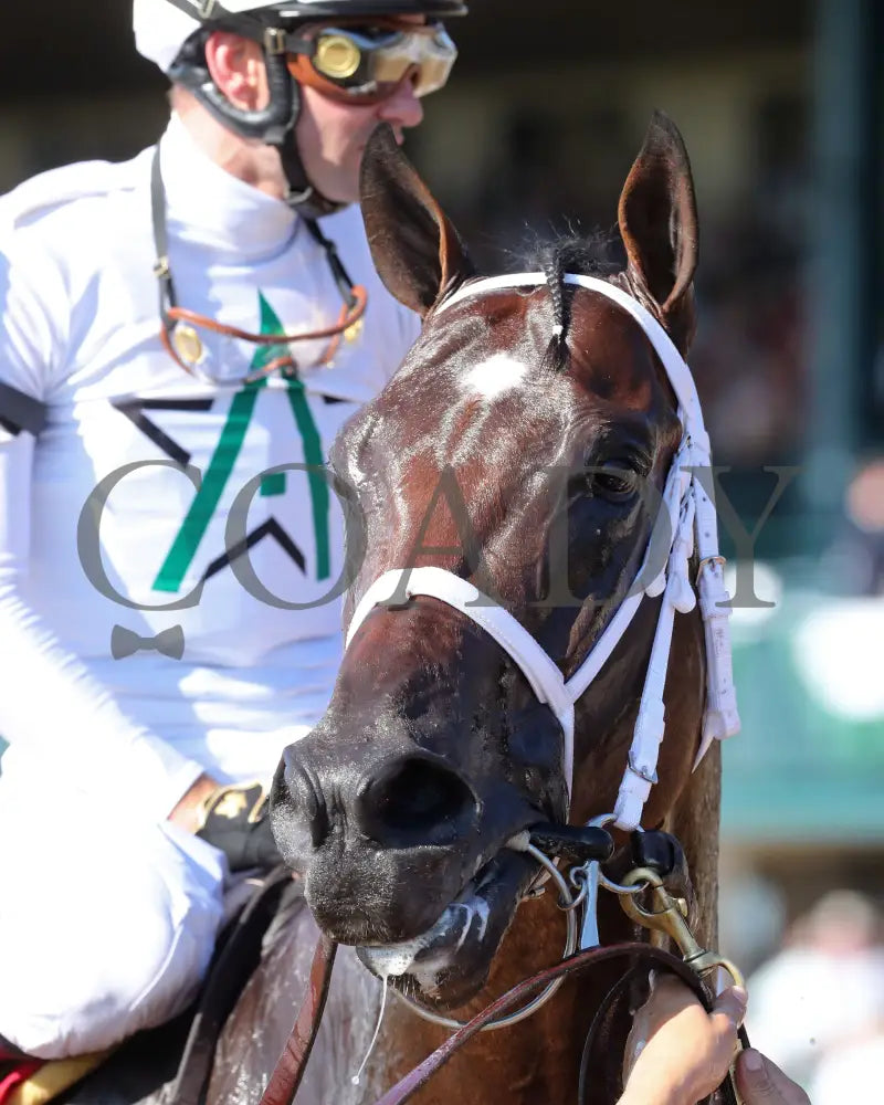 Federal Judge - 100424 Race 07 Kee The Stoll Keenon Ogden Phoenix G2 Come Back 02 Keeneland