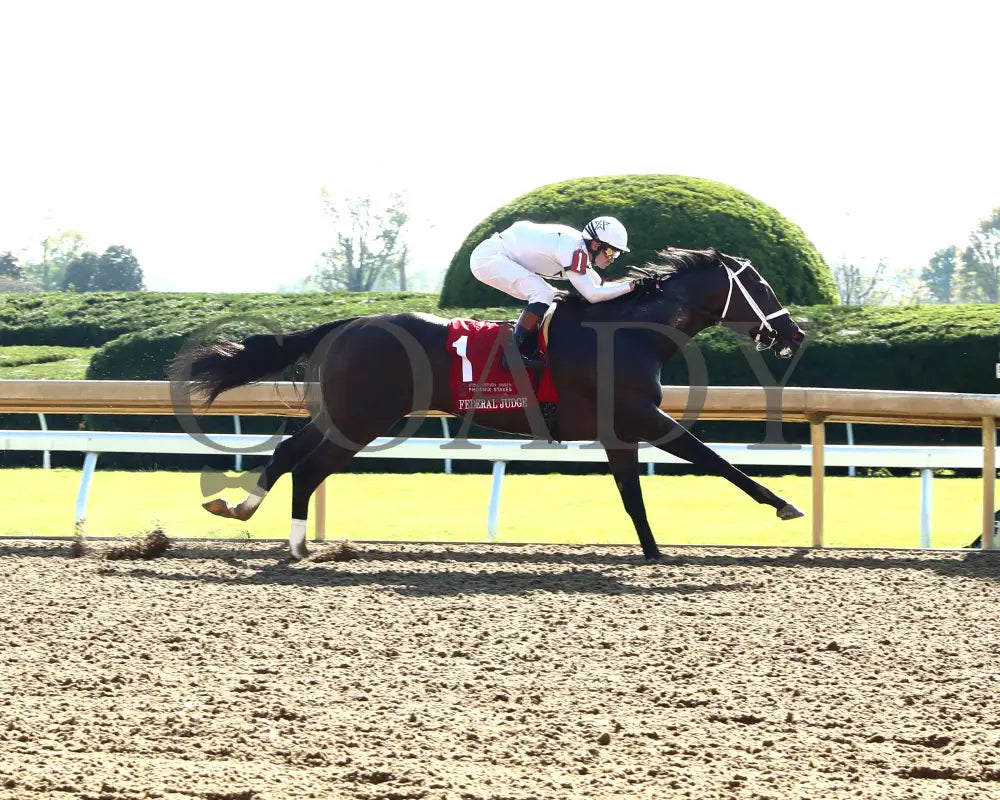 Federal Judge - 100424 Race 07 Kee The Stoll Keenon Ogden Phoenix G2 Finish 01 Keeneland