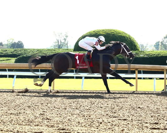 Federal Judge - 100424 Race 07 Kee The Stoll Keenon Ogden Phoenix G2 Finish 01 Keeneland