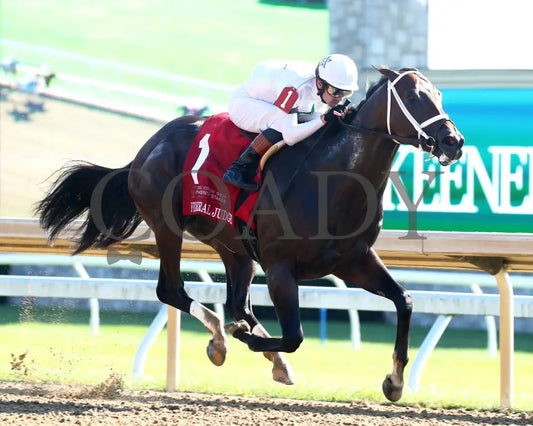 Federal Judge - 100424 Race 07 Kee The Stoll Keenon Ogden Phoenix G2 Finish 02 Keeneland