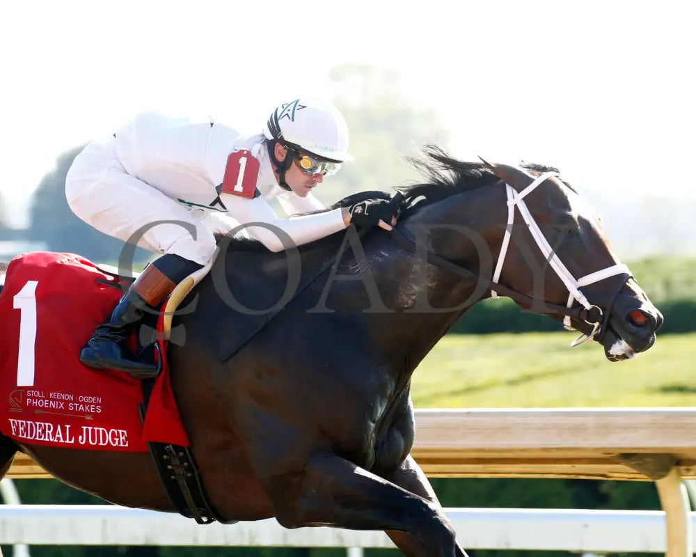 Federal Judge - 100424 Race 07 Kee The Stoll Keenon Ogden Phoenix G2 Finish 03 Keeneland