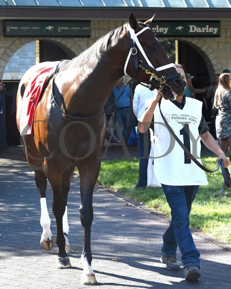 Federal Judge - 100424 Race 07 Kee The Stoll Keenon Ogden Phoenix G2 Paddock 01 Keeneland