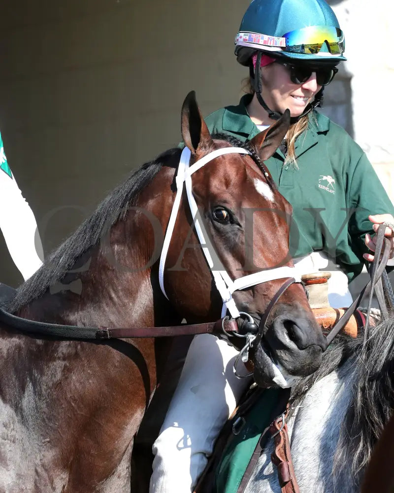Federal Judge - 100424 Race 07 Kee The Stoll Keenon Ogden Phoenix G2 Post Parade 01 Keeneland