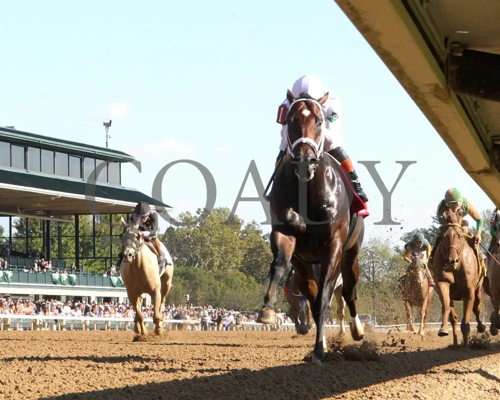 Federal Judge - 100424 Race 07 Kee The Stoll Keenon Ogden Phoenix G2 Under Rail 01 Keeneland