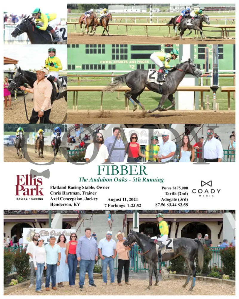 Fibber - The Audubon Oaks 5Th Running 08-11-24 R09 Elp Ellis Park