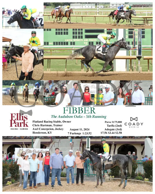 Fibber - The Audubon Oaks 5Th Running 08-11-24 R09 Elp Ellis Park