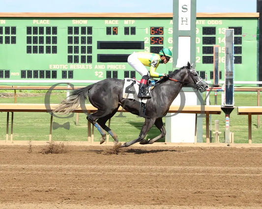 Fibber - The Audubon Oaks 5Th Running 08-11-24 R09 Elp Finish 01 Ellis Park