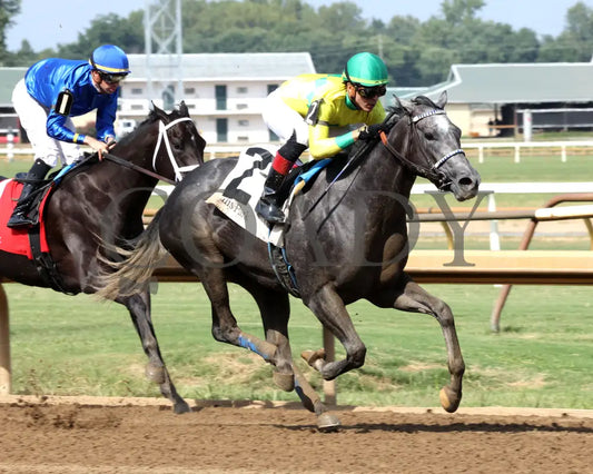 Fibber - The Audubon Oaks 5Th Running 08-11-24 R09 Elp Finish 02 Ellis Park