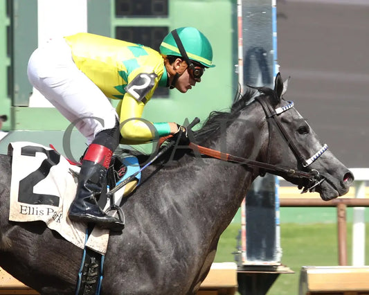 Fibber - The Audubon Oaks 5Th Running 08-11-24 R09 Elp Finish 03 Ellis Park