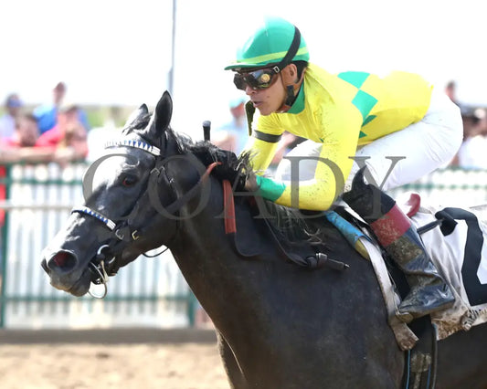 Fibber - The Audubon Oaks 5Th Running 08-11-24 R09 Elp Inside Finish 01 Ellis Park