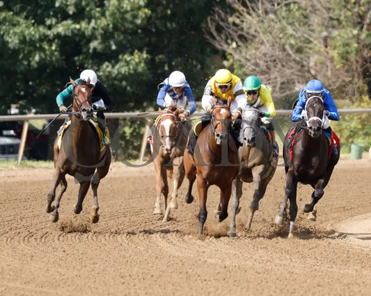 Fibber - The Audubon Oaks 5Th Running 08-11-24 R09 Elp Turn 01 Ellis Park
