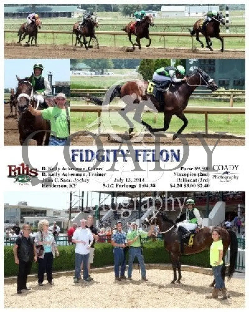 Fidgity Felon - 071314 Race 02 Elp Ellis Park
