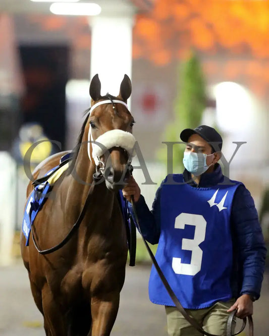 Field Day - The William Walker 6Th Running 04-24-21 R09 Cd Paddock 01 Churchill Downs