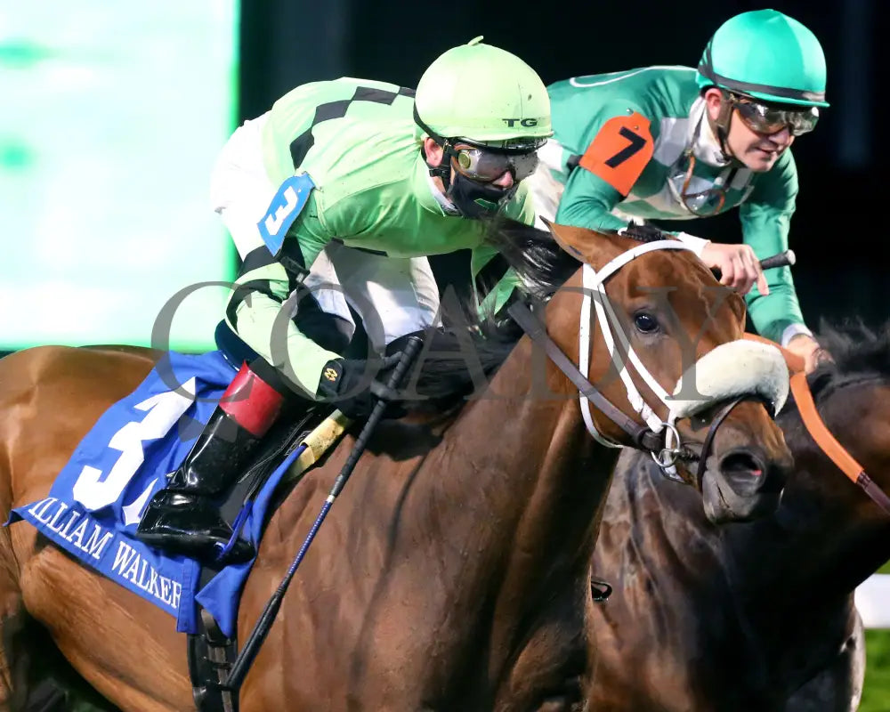 Field Day - The William Walker 6Th Running 04-24-21 R09 Cd Tight Finish 01 Churchill Downs