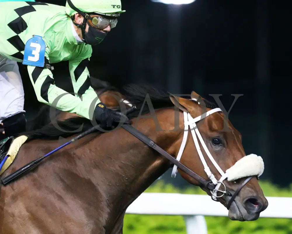 Field Day - The William Walker 6Th Running 04-24-21 R09 Cd Tight Finish 02 Churchill Downs