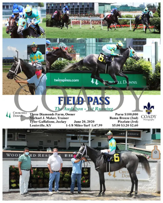 Field Pass - The Audubon 1St Running 06-20-20 R06 Cd Churchill Downs