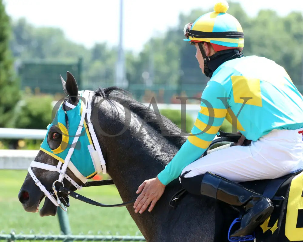 Field Pass - The Audubon 1St Running 06-20-20 R06 Cd Post Race 01 Churchill Downs