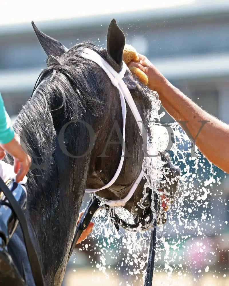 Field Pass - The Audubon 1St Running 06-20-20 R06 Cd Post Race 02 Churchill Downs