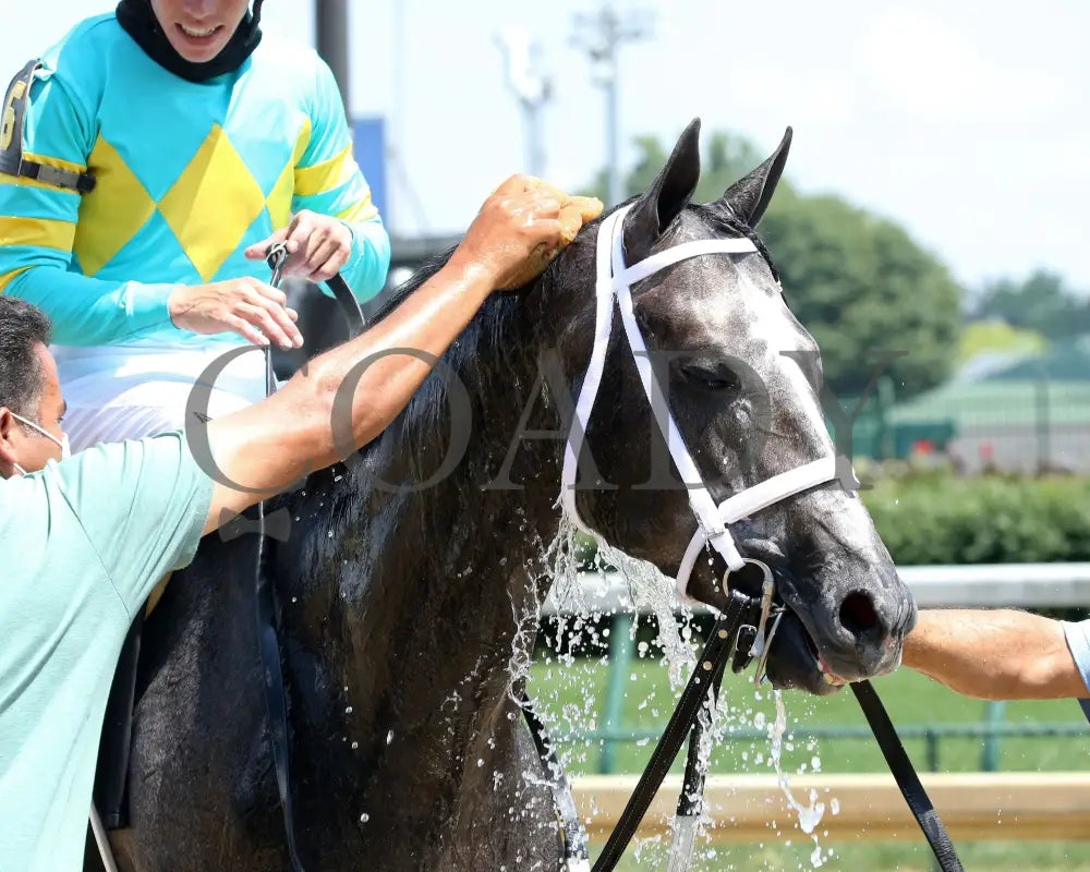 Field Pass - The Audubon 1St Running 06-20-20 R06 Cd Post Race 03 Churchill Downs