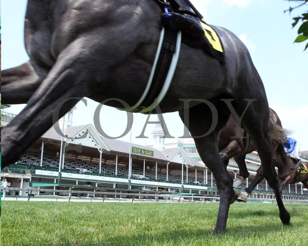 Field Pass - The Audubon 1St Running 06-20-20 R06 Cd Under Rail 02 Churchill Downs
