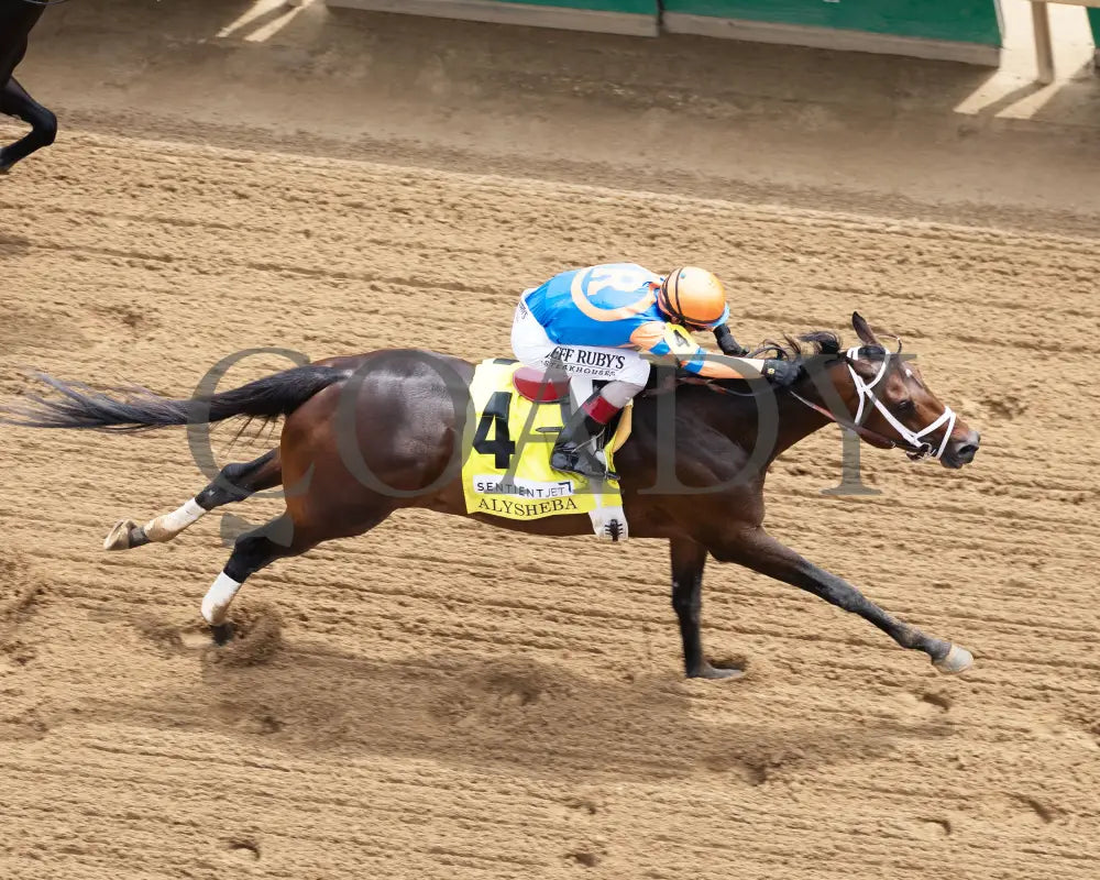 FIERCENESS - 050225 - Race 06 - CD - Aerial Finish 01 Churchill Downs