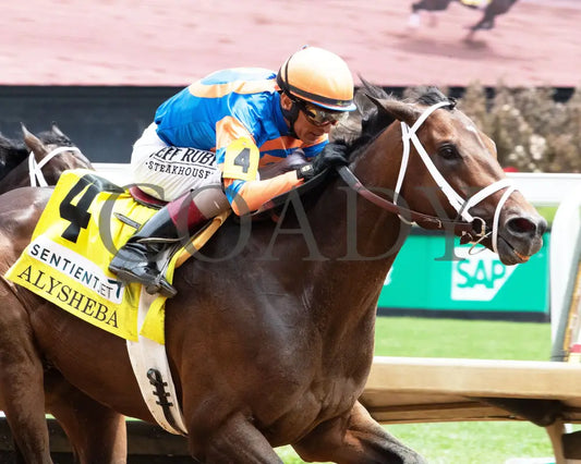 FIERCENESS - 050225 - Race 06 - CD - Inside Finish 02 Churchill Downs