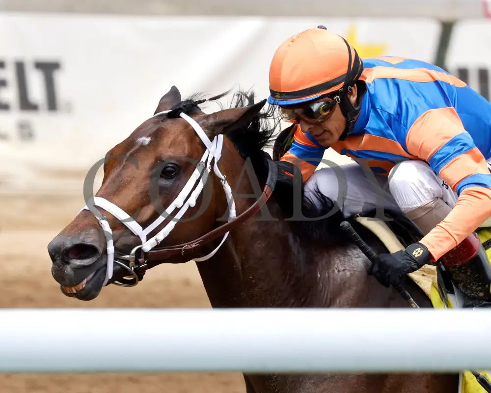 FIERCENESS - The Alysheba G2 - 22nd Running - 05-02-25 - R06 - CD - Inside Finish 02 Churchill Downs