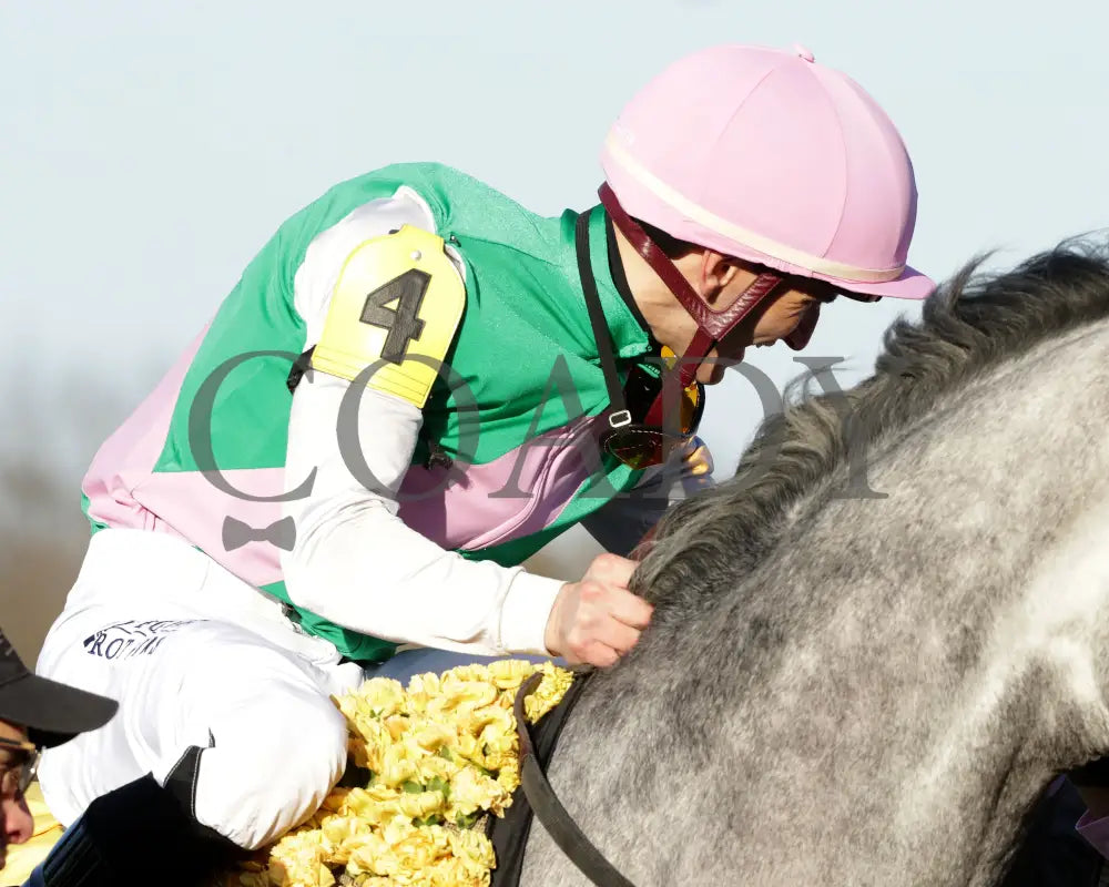 FINAL GAMBIT - Jeff Ruby Steaks - 54th Running - 03-22-25 - R12 - TP - Celebration 03 Turfway Park