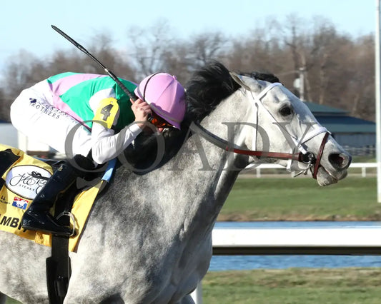 FINAL GAMBIT - Jeff Ruby Steaks - 54th Running - 03-22-25 - R12 - TP - Finish 03 Turfway Park
