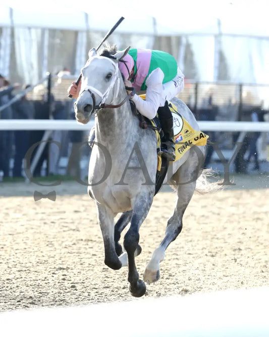 FINAL GAMBIT - Jeff Ruby Steaks - 54th Running - 03-22-25 - R12 - TP - Inside Finish 01 Turfway Park