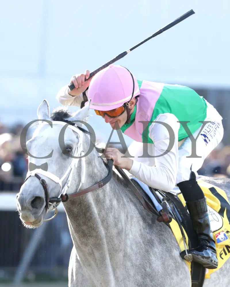 FINAL GAMBIT - Jeff Ruby Steaks - 54th Running - 03-22-25 - R12 - TP - Inside Finish 02 Turfway Park