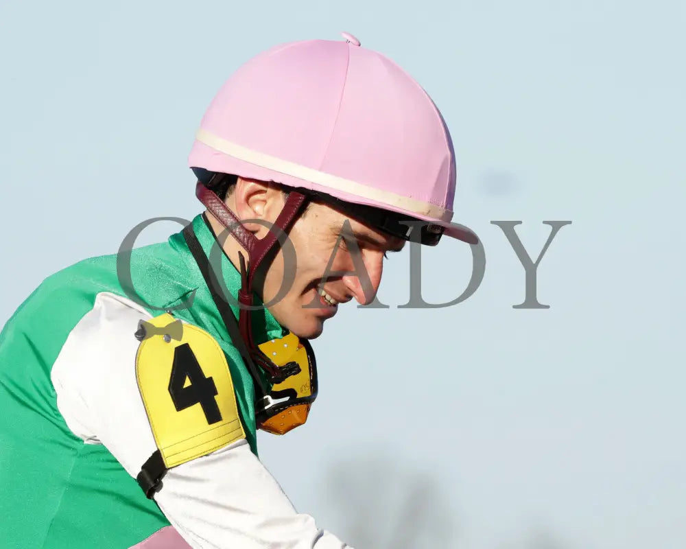 FINAL GAMBIT - Jeff Ruby Steaks - 54th Running - 03-22-25 - R12 - TP - Luan Machado 01 Turfway Park