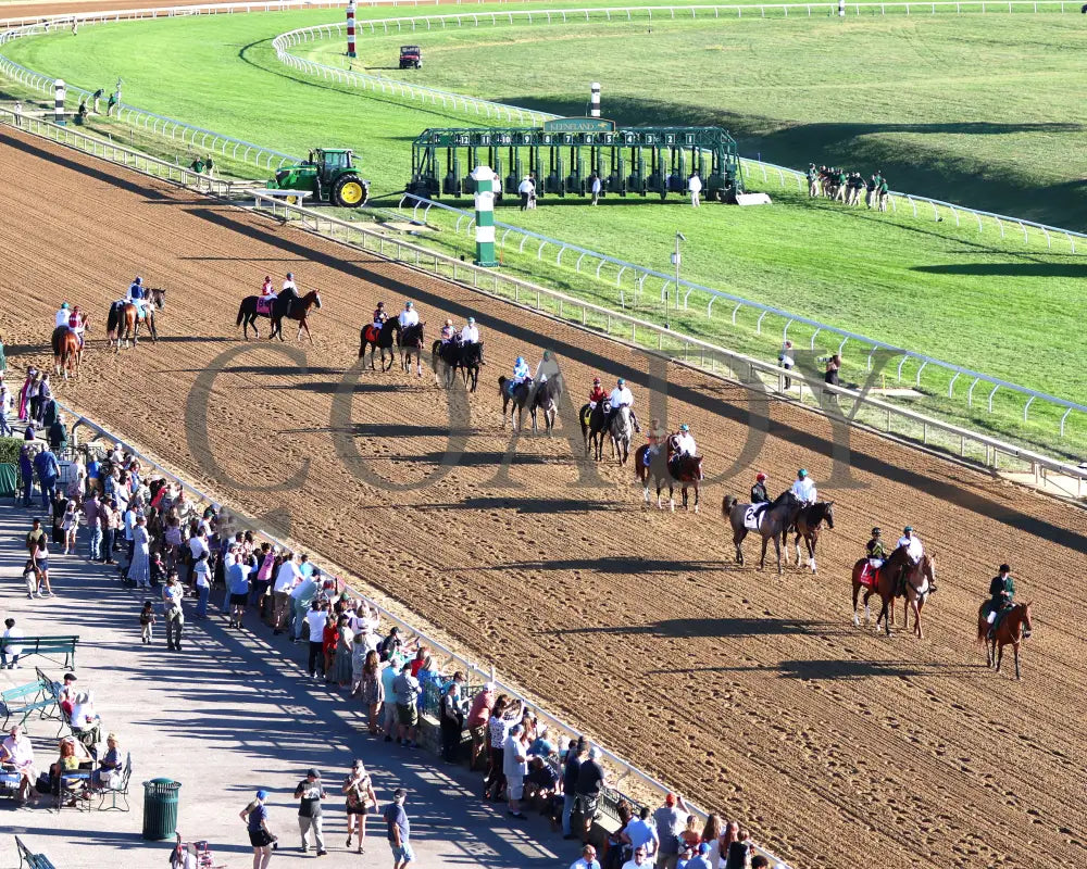 FINAL SCORE - 100525 - Race 10 - KEE - Post Parade 01 Keeneland