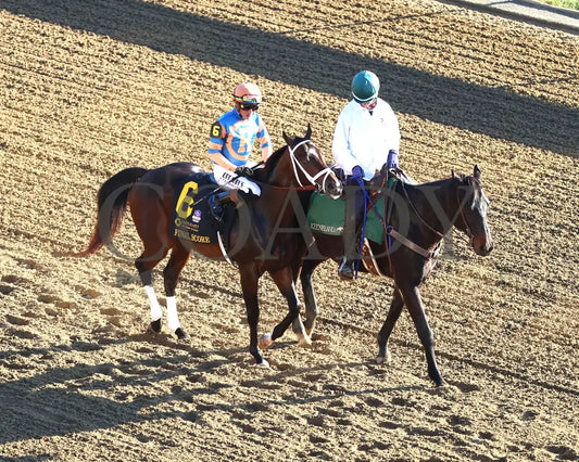 FINAL SCORE - 100525 - Race 10 - KEE - Post Parade 02 Keeneland