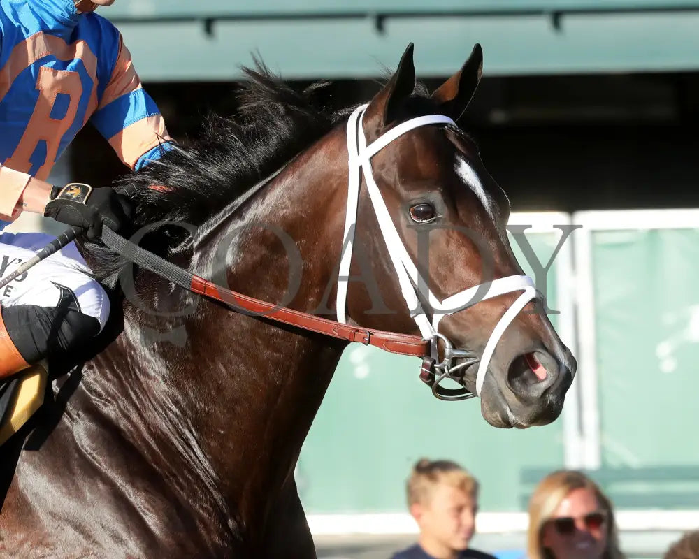 FINAL SCORE - 100525 - Race 10 - KEE - Post Parade 05 Keeneland