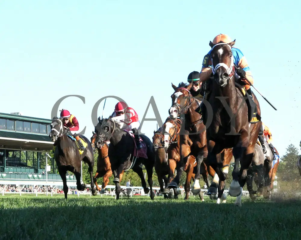 FINAL SCORE - 100525 - Race 10 - KEE - Under Rail 01 Keeneland