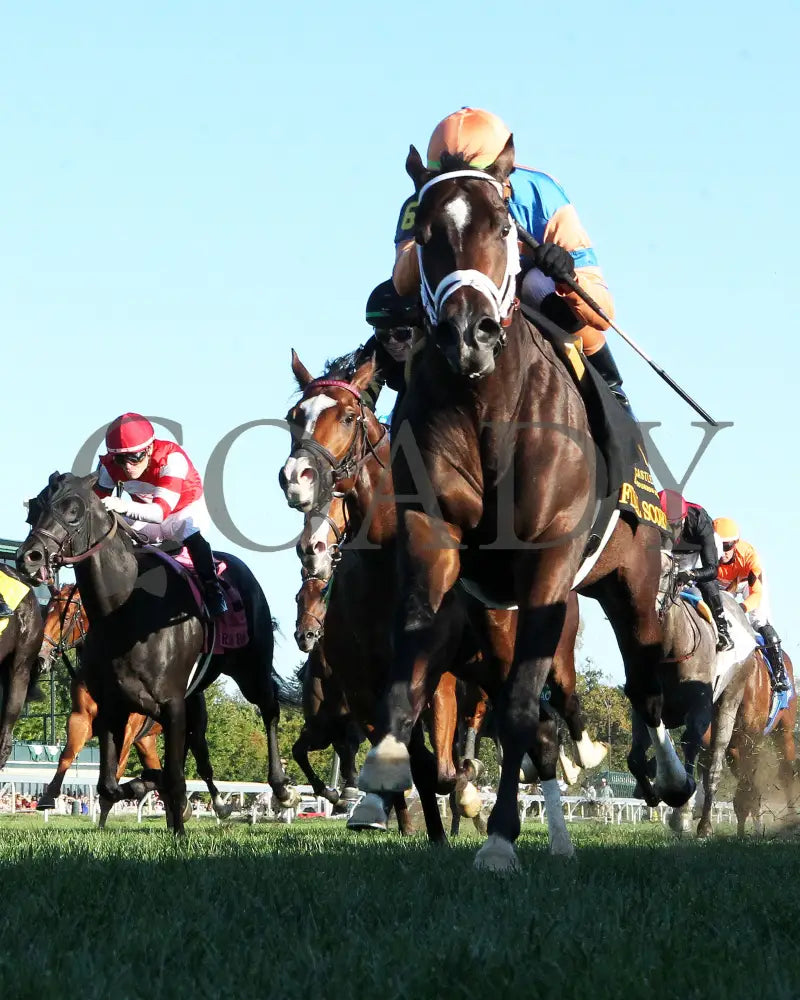 FINAL SCORE - 100525 - Race 10 - KEE - Under Rail 02 Keeneland