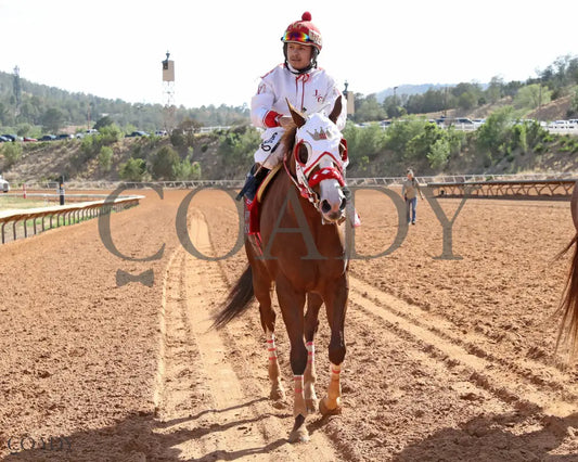 FINE AM EYE - Vista Distaff Stakes - 06-21-25 - R10 - Ruidoso Downs - Return Shot Victoria Salazar Ruidoso Downs