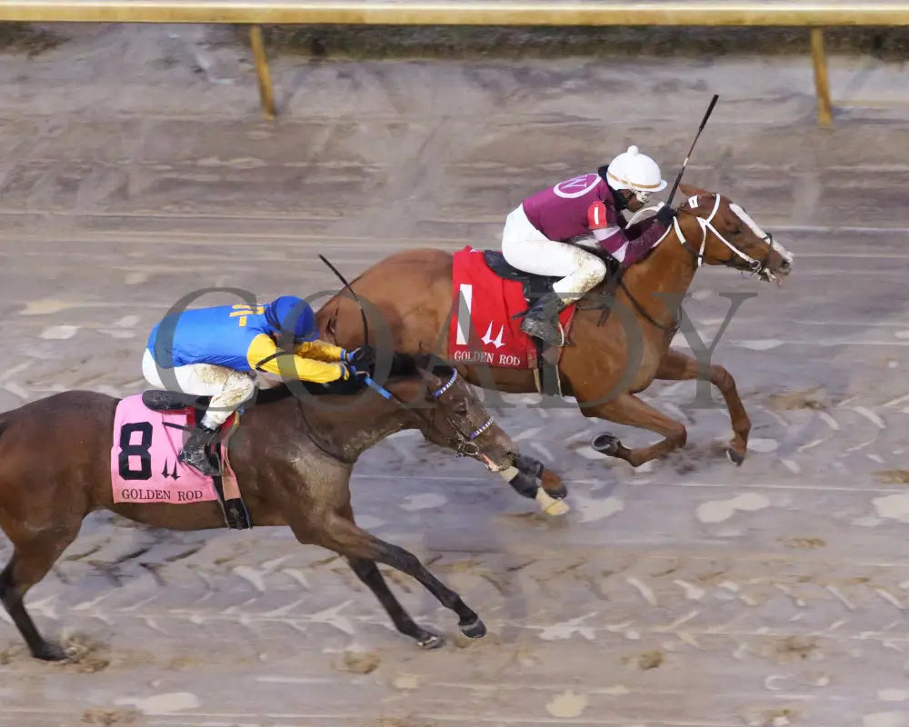 Finite - Golden Rod G2 76Th Running 11-30-19 R09 Cd Aerial Finish 01 Churchill Downs