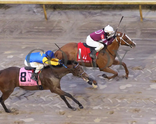 Finite - Golden Rod G2 76Th Running 11-30-19 R09 Cd Aerial Finish 01 Churchill Downs